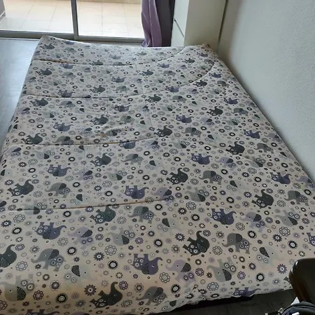 Estudio Gio Paraiso En El Sur Apartamento Playa Paraíso